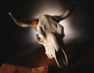 大安市電工電料有限責任公司