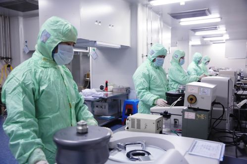 長春新區(qū) 主導產(chǎn)業(yè)展現(xiàn)澎湃動能 夯實高質(zhì)量發(fā)展之根